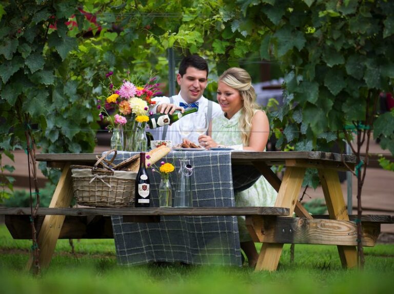 Engagement Picnic at JOLO Winery and Vineyards