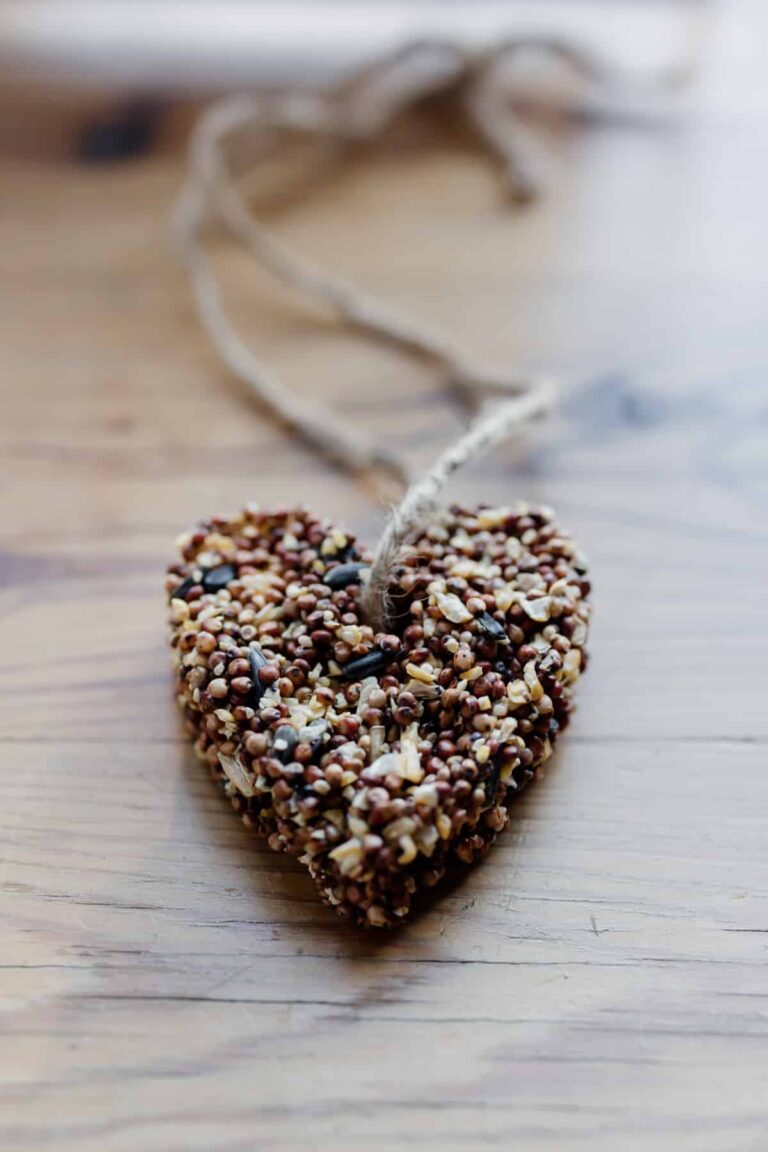 eco-friendly wedding favor seed heart unique wedding photography