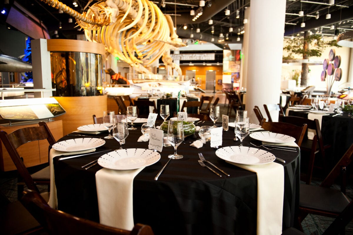 NC Museum of Natural Sciences wedding