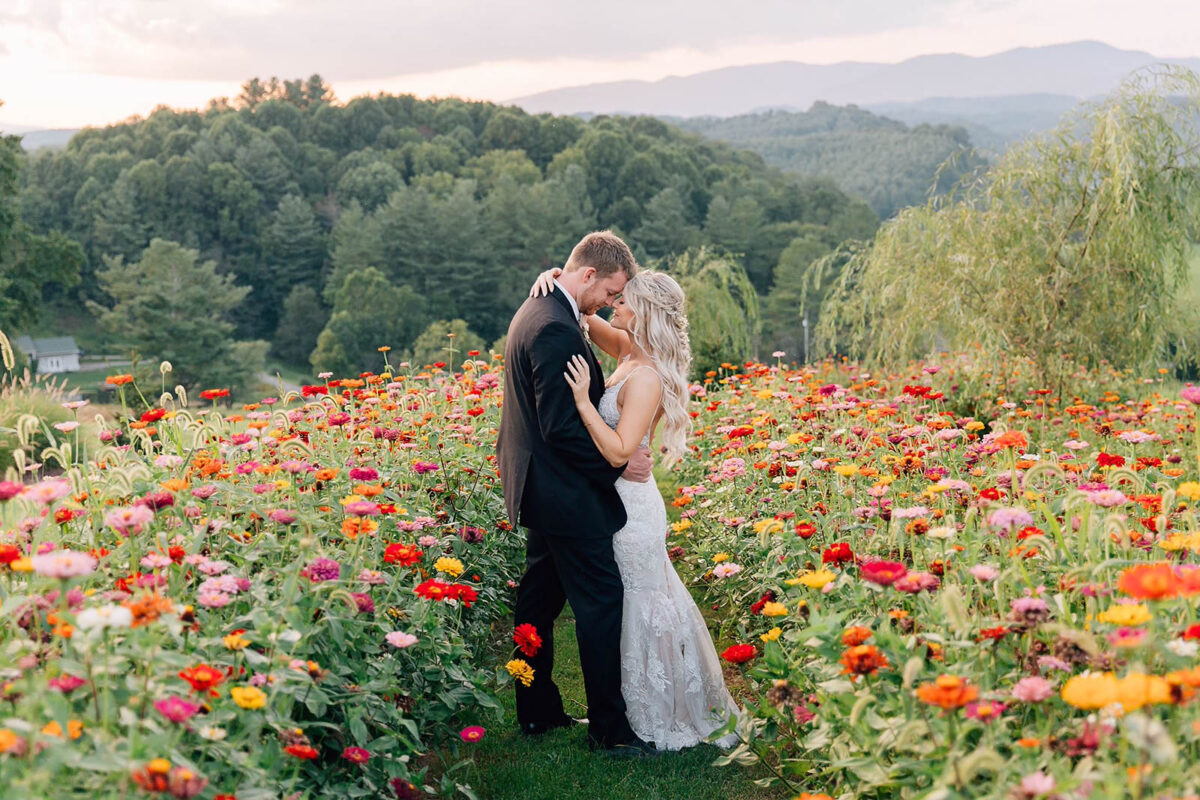 Triangle NC wedding photographer