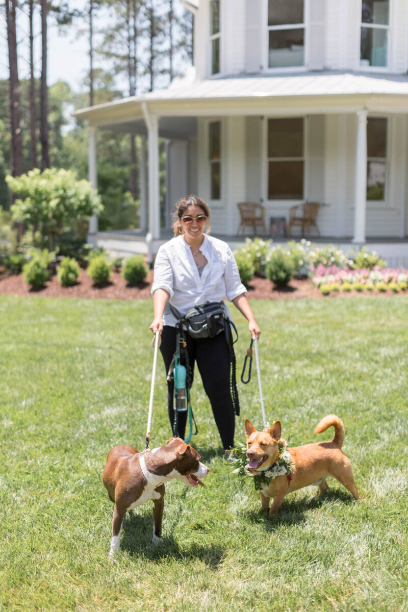 Wedding dog care Triangle NC
