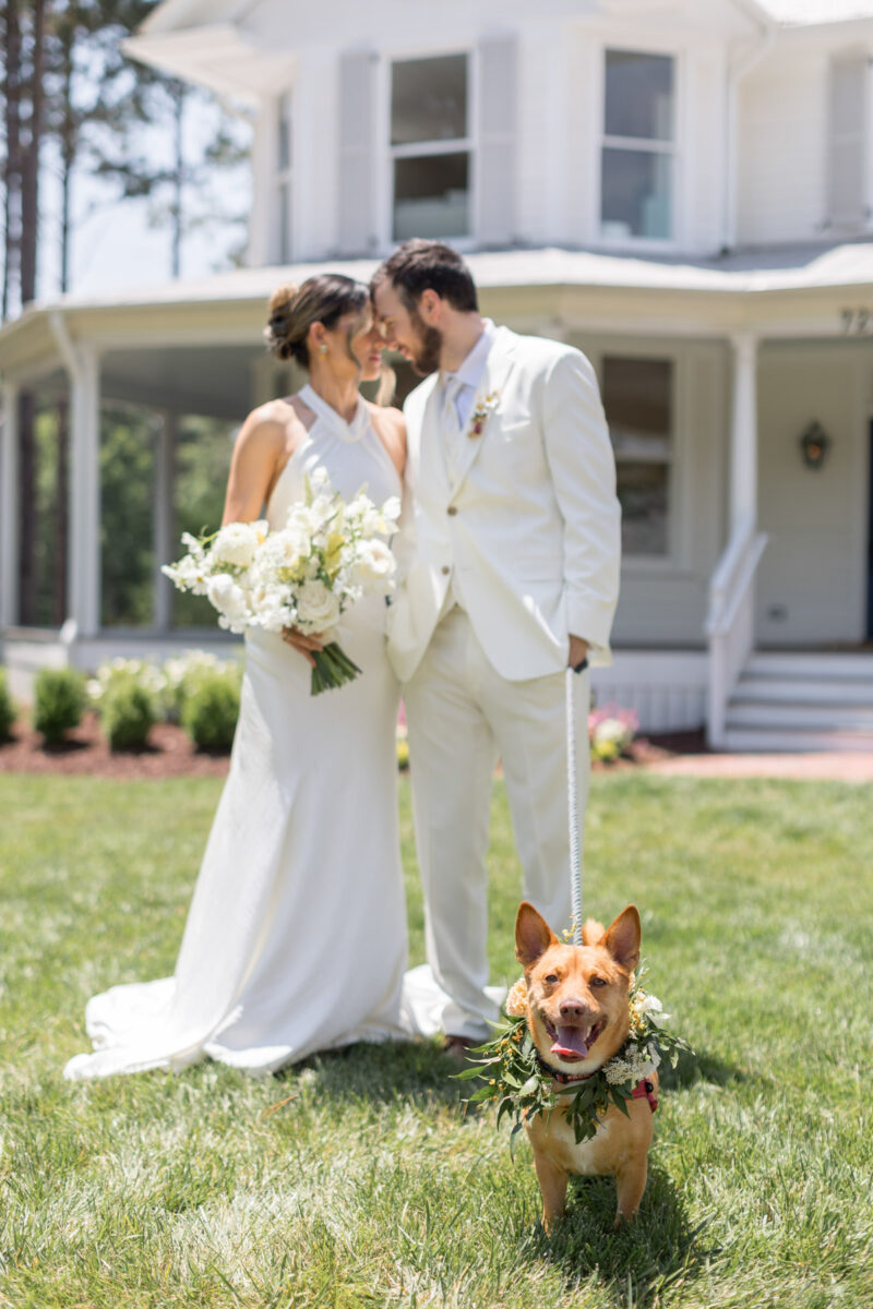 Pet care for weddings in Triangle NC
