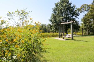 Public park wedding venues in Raleigh NC