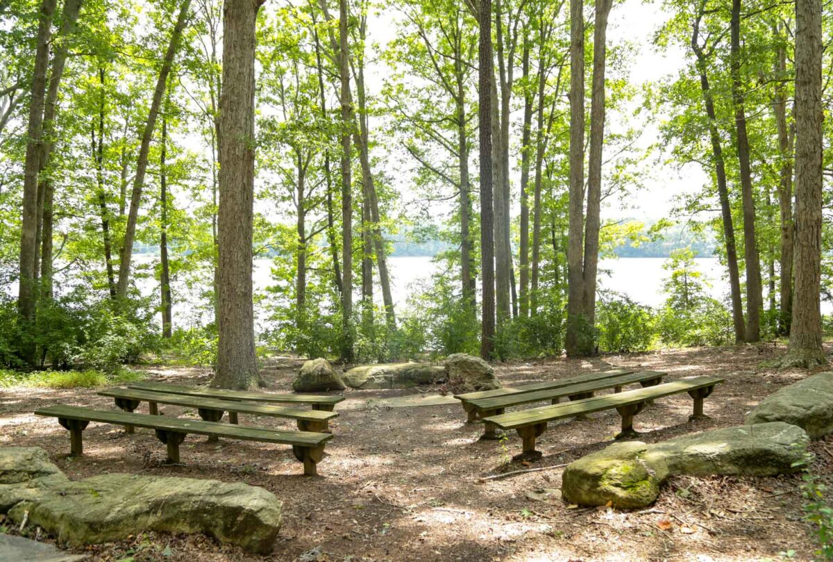 Ceremony space in the woods