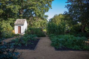Picturesque gardens in Raleigh NC